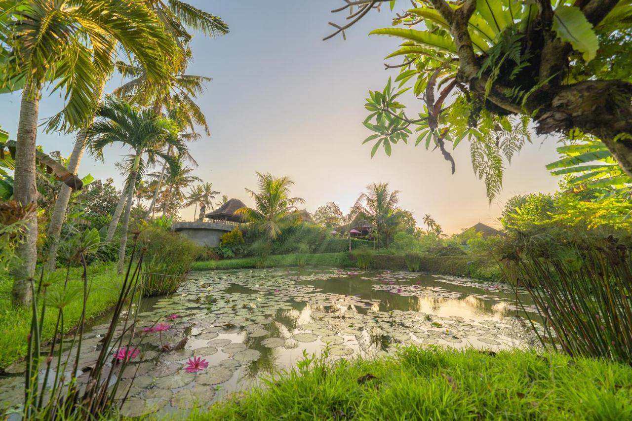 Uma Dawa Resort And Spa أوبود المظهر الخارجي الصورة